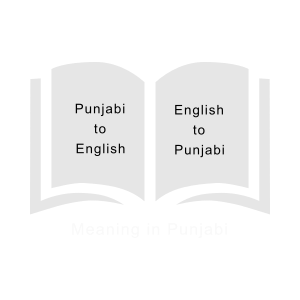 Meaning-in-Punjabi